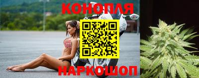 МДПВ Тара