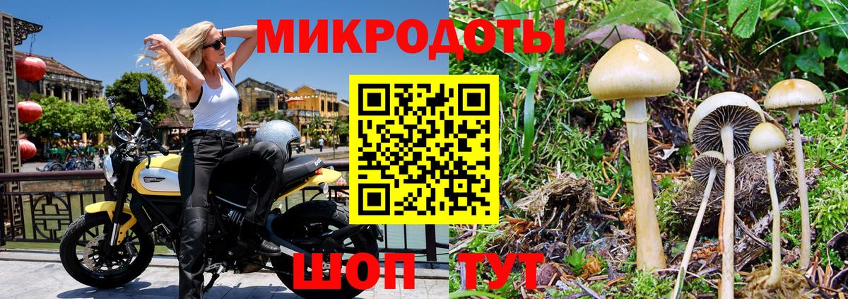 Заинск  Галлюциногенные грибы MAGIC MUSHROOMS  купить наркотики сайты  Вход с VPN 